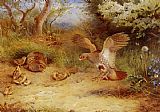 Summer Canvas Paintings - Summer Partridge and Chicks